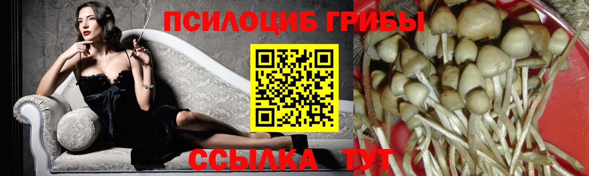 Галлюциногенные грибы Cubensis  Вход с VPN  Лабинск 